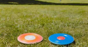 disc golf disc and a regular frisbee